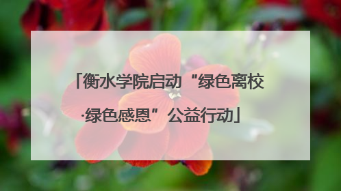 衡水学院启动“绿色离校·绿色感恩”公益行动
