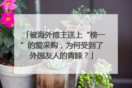 被海外博主送上“榜一”的爱采购，为何受到了外国友人的青睐？