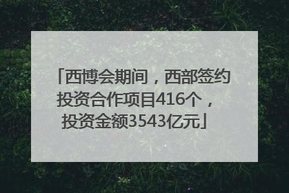 西博会期间，西部签约投资合作项目416个，投资金额3543亿元