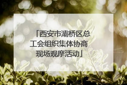 西安市灞桥区总工会组织集体协商现场观摩活动