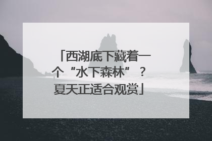 西湖底下藏着一个“水下森林”？夏天正适合观赏