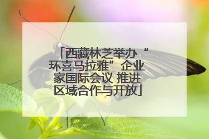 西藏林芝举办“环喜马拉雅”企业家国际会议 推进区域合作与开放