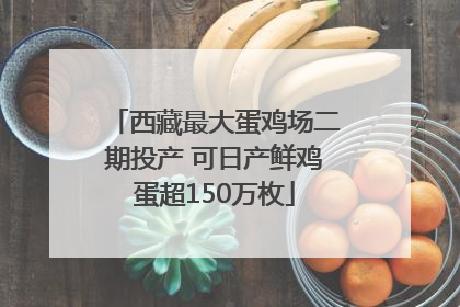 西藏最大蛋鸡场二期投产 可日产鲜鸡蛋超150万枚