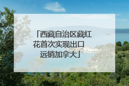 西藏自治区藏红花首次实现出口 远销加拿大
