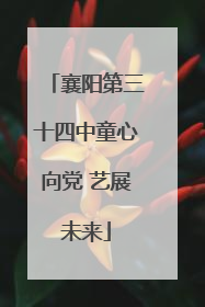 襄阳第三十四中童心向党 艺展未来