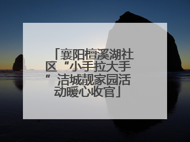 襄阳檀溪湖社区“小手拉大手”洁城靓家园活动暖心收官