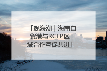 观海潮｜海南自贸港与RCEP区域合作互促共进