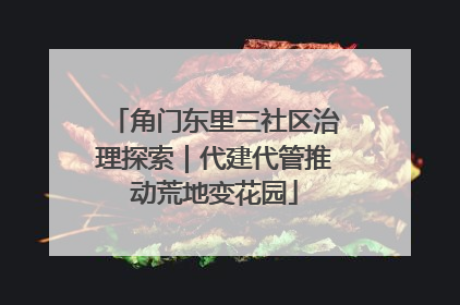 角门东里三社区治理探索｜代建代管推动荒地变花园