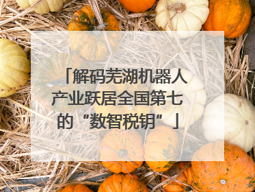 解码芜湖机器人产业跃居全国第七的“数智税钥”