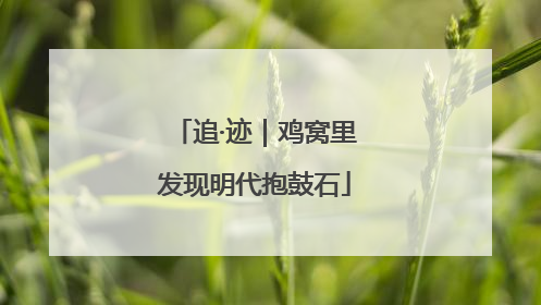 追·迹｜鸡窝里发现明代抱鼓石