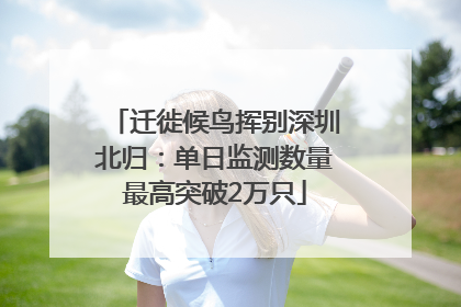 迁徙候鸟挥别深圳北归：单日监测数量最高突破2万只