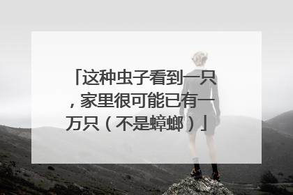 这种虫子看到一只，家里很可能已有一万只（不是蟑螂）