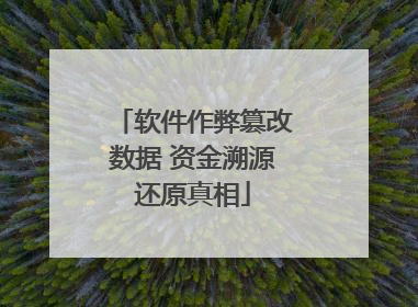 软件作弊篡改数据 资金溯源还原真相
