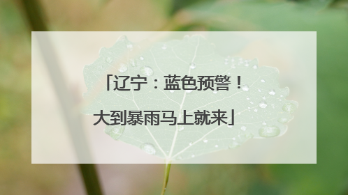 辽宁：蓝色预警！大到暴雨马上就来