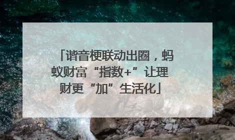 谐音梗联动出圈，蚂蚁财富“指数+”让理财更“加”生活化