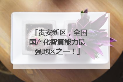贵安新区，全国国产化智算能力最强地区之一！