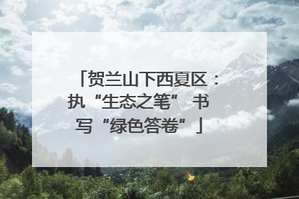贺兰山下西夏区：执“生态之笔” 书写“绿色答卷”