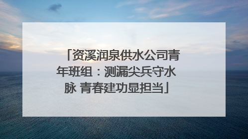 资溪润泉供水公司青年班组：测漏尖兵守水脉 青春建功显担当