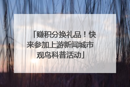 赚积分换礼品！快来参加上游新闻城市观鸟科普活动
