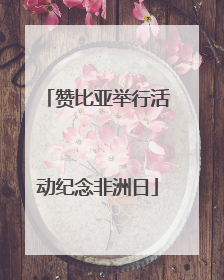 赞比亚举行活动纪念非洲日