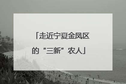 走近宁夏金凤区的“三新”农人
