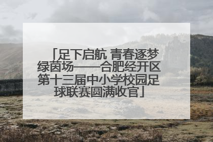 足下启航 青春逐梦绿茵场——合肥经开区第十三届中小学校园足球联赛圆满收官