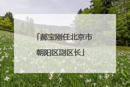 郝宝刚任北京市朝阳区副区长