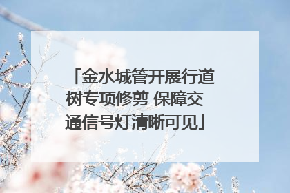 金水城管开展行道树专项修剪 保障交通信号灯清晰可见