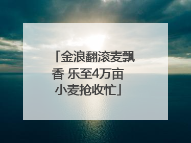 金浪翻滚麦飘香 乐至4万亩小麦抢收忙