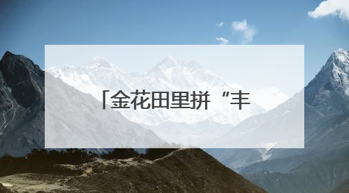 金花田里拼“丰”采，醴陵市油菜高产竞赛创佳绩