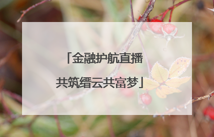 金融护航直播 共筑缙云共富梦