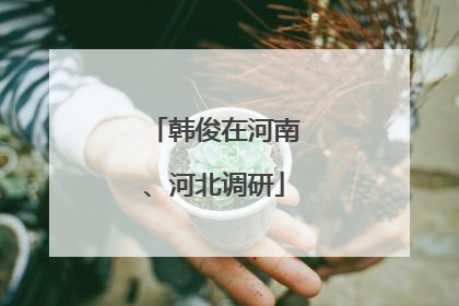 韩俊在河南、河北调研