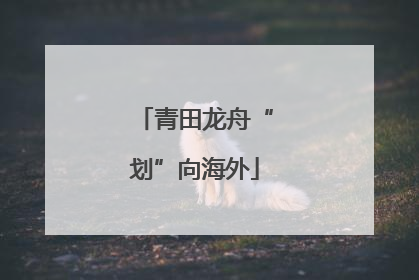 青田龙舟“划”向海外