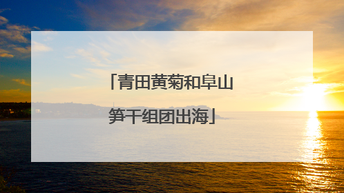 青田黄菊和阜山笋干组团出海