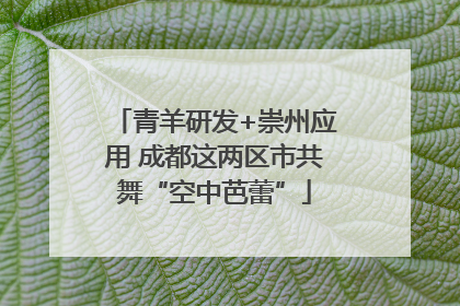 青羊研发+崇州应用 成都这两区市共舞“空中芭蕾”