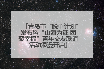 青岛市“脱单计划”发布暨“山海为证 团聚幸福”青年交友联谊活动浪漫开启