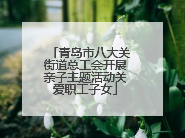 青岛市八大关街道总工会开展亲子主题活动关爱职工子女