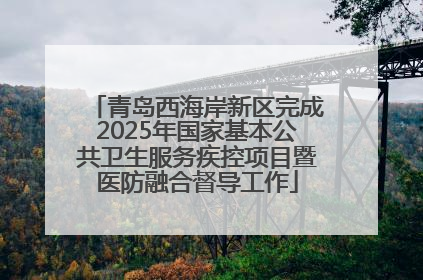 青岛西海岸新区完成2025年国家基本公共卫生服务疾控项目暨医防融合督导工作