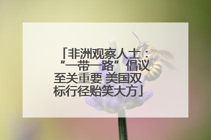 非洲观察人士：“一带一路”倡议至关重要 美国双标行径贻笑大方