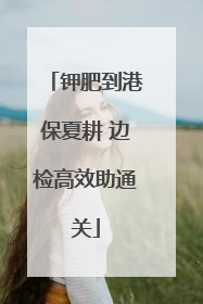 钾肥到港保夏耕 边检高效助通关