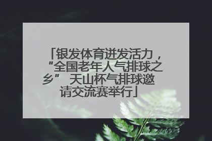 银发体育迸发活力，“全国老年人气排球之乡” 天山杯气排球邀请交流赛举行
