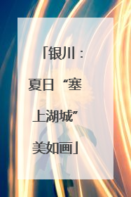 银川：夏日“塞上湖城”美如画