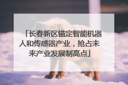长春新区锚定智能机器人和传感器产业，抢占未来产业发展制高点