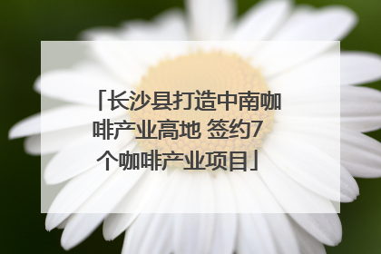 长沙县打造中南咖啡产业高地 签约7个咖啡产业项目