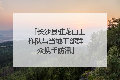 长沙县驻龙山工作队与当地干部群众携手防汛
