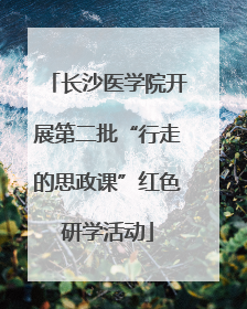 长沙医学院开展第二批“行走的思政课”红色研学活动