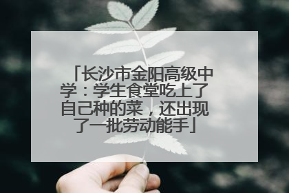 长沙市金阳高级中学：学生食堂吃上了自己种的菜，还出现了一批劳动能手