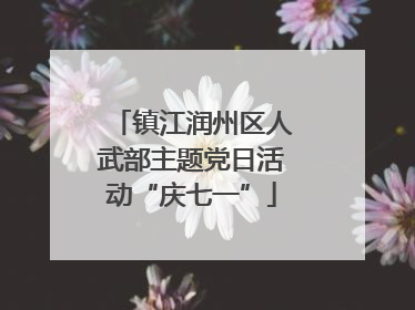 镇江润州区人武部主题党日活动“庆七一”