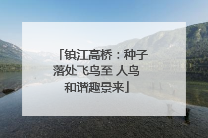 镇江高桥：种子落处飞鸟至 人鸟和谐趣景来
