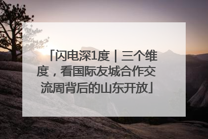 闪电深1度｜三个维度，看国际友城合作交流周背后的山东开放